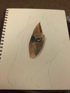 Starting the drawing