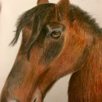 A color pencil drawing of Faith